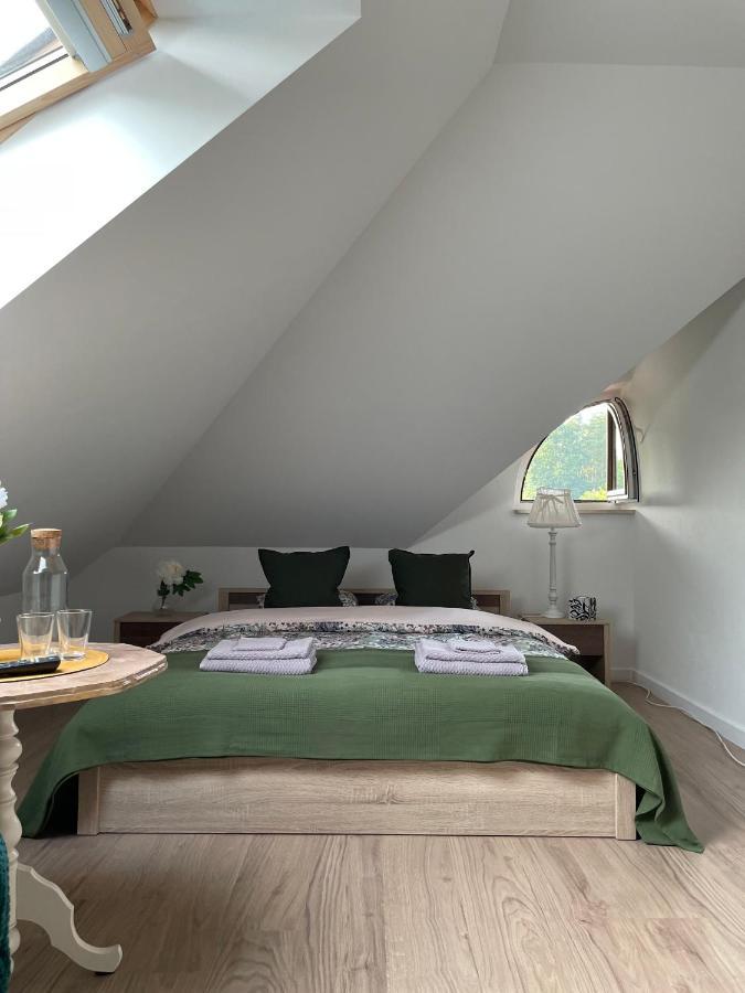 Apartamenty Zaczarowany Ogrod カジミエシュ・ドルニ エクステリア 写真