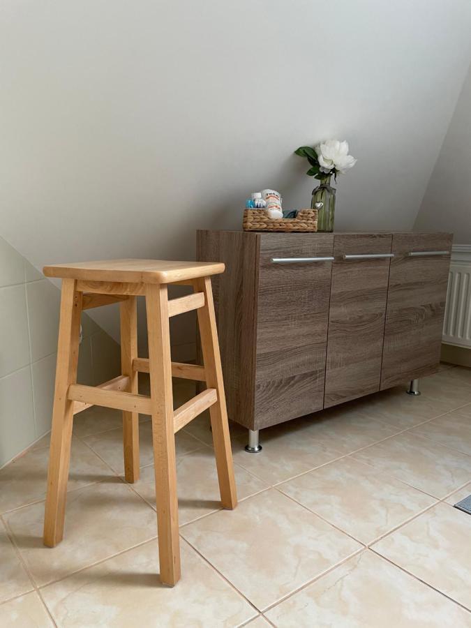 Apartamenty Zaczarowany Ogrod カジミエシュ・ドルニ エクステリア 写真