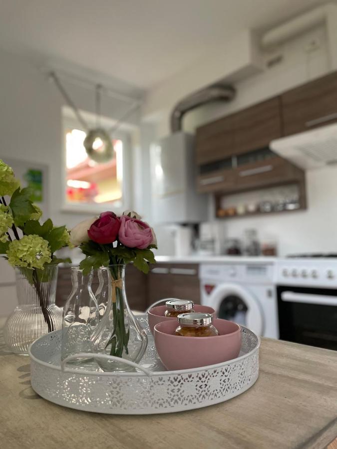 Apartamenty Zaczarowany Ogrod カジミエシュ・ドルニ エクステリア 写真